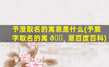 予澄取名的寓意是什么(予宸字取名的寓 🌸 意百度百科)